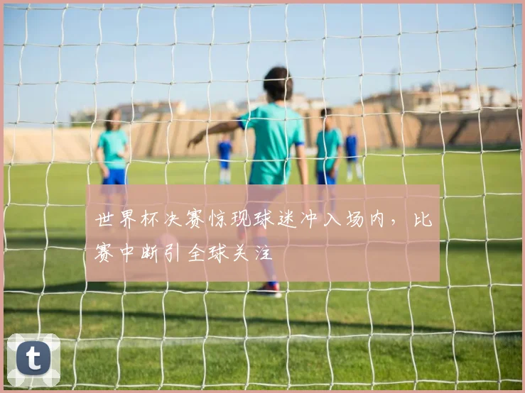 世界杯决赛惊现球迷冲入场内，比赛中断引全球关注