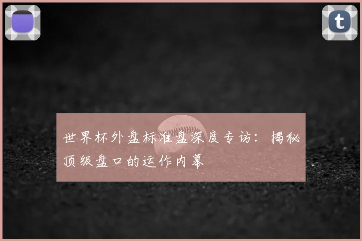 世界杯外盘标准盘深度专访：揭秘顶级盘口的运作内幕