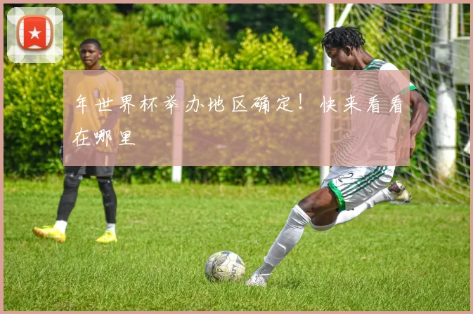 年世界杯举办地区确定!快来看看在哪里