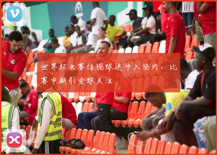 世界杯决赛惊现球迷冲入场内,比赛中断引全球关注
