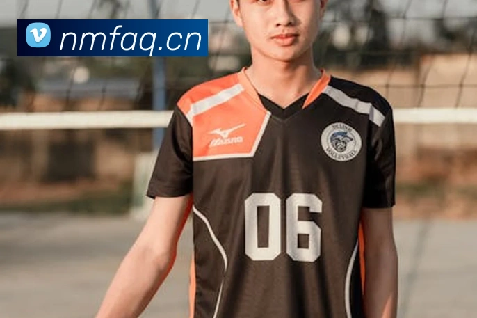 App Interface Preview